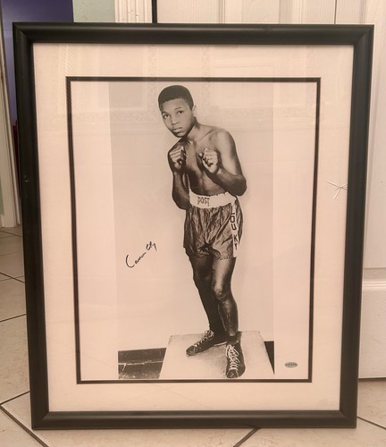 Cassius clay - cassius, ali)